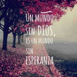 Meet your Posher, Rodriguez